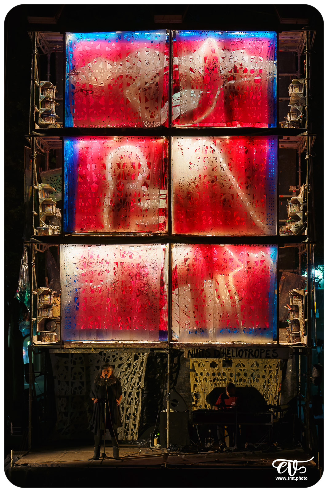 TMTPHOTO LA TORTUE DE GAUGUIN 012